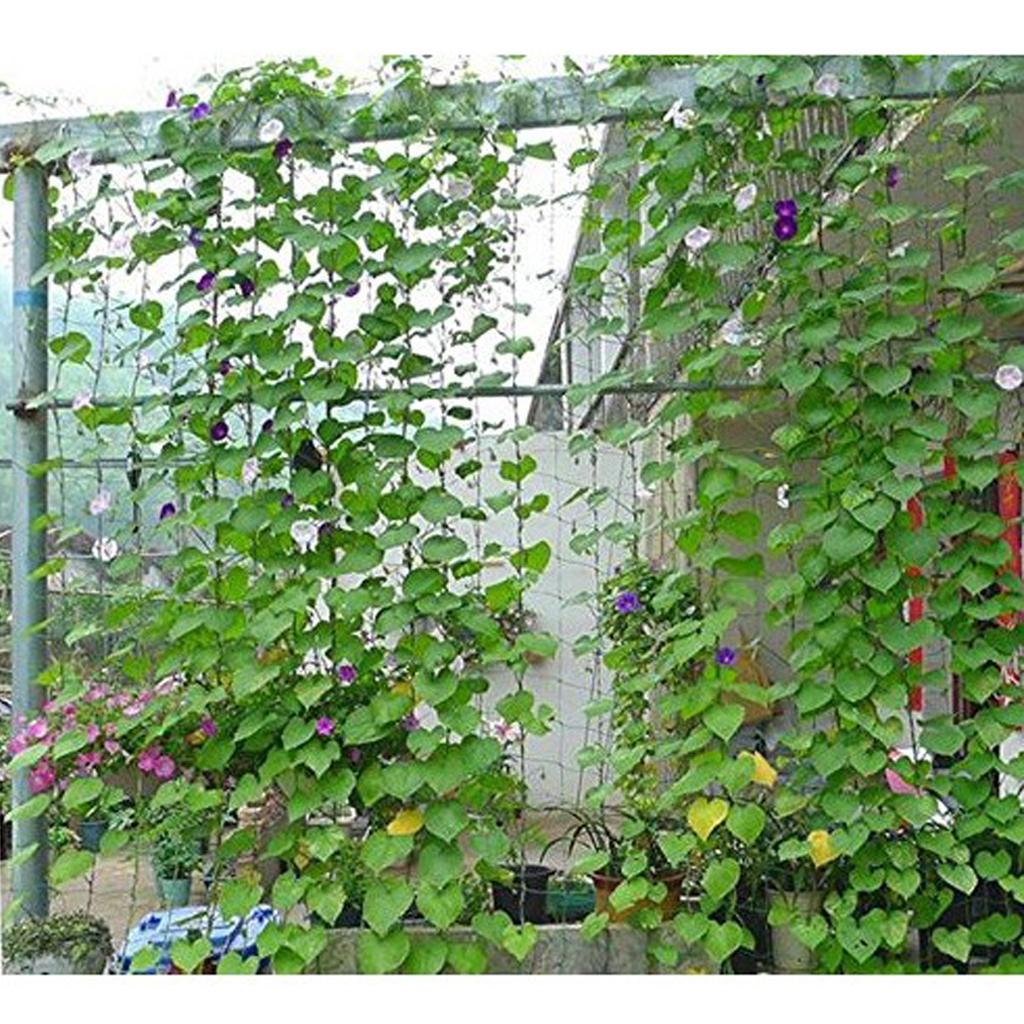 Strong Nylon Trellis Netting Net Plant Support for