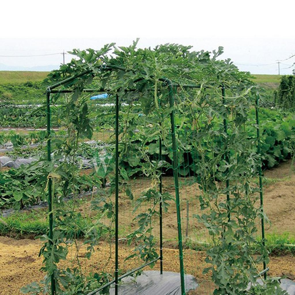 Strong Nylon Trellis Netting Net Plant Support for