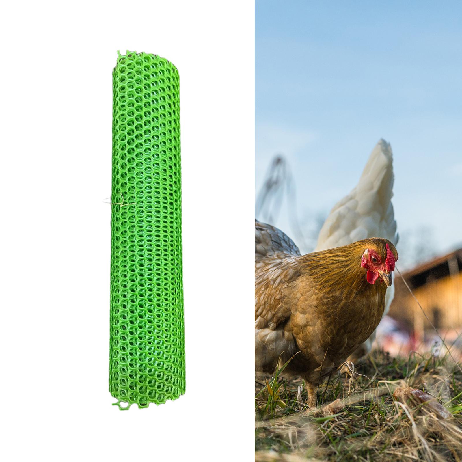 Chicken Wire Net DIY Projects Poultry Fencing Protective Crafts for Fence Green