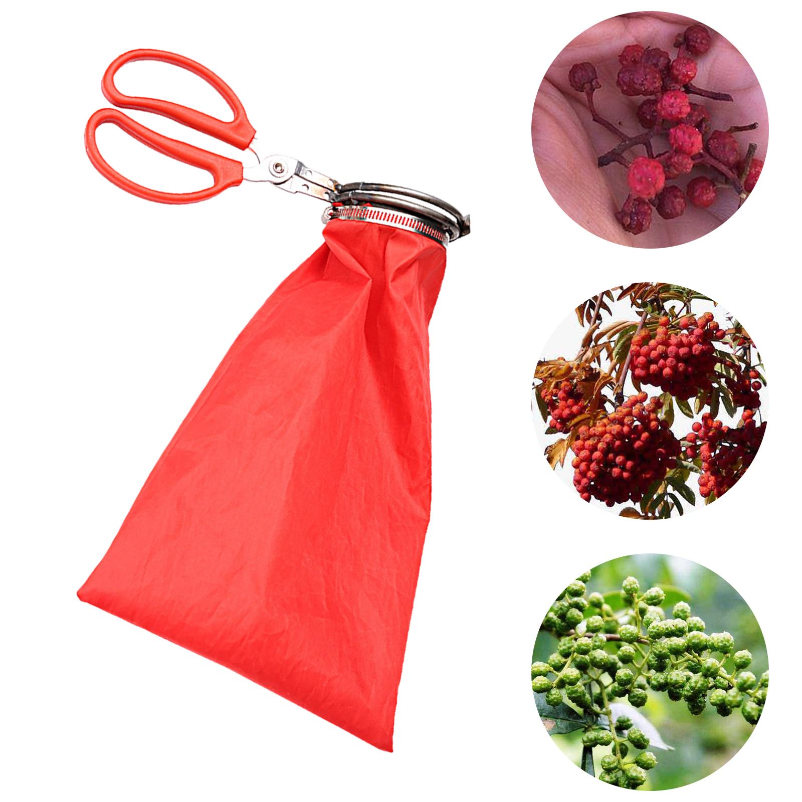 Garden Pepper Picker Ergonomic Handle Easier Picking Fruit Picker for Bonsai