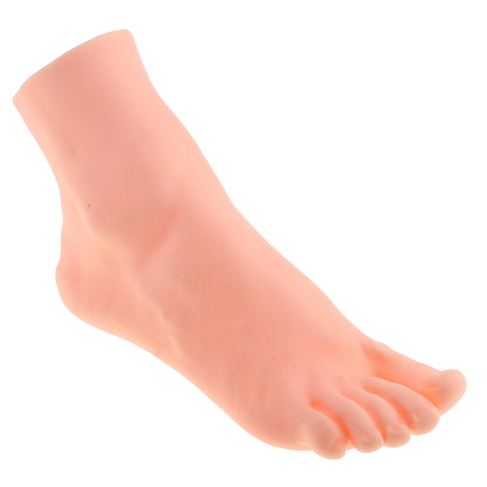 Male Right Foot Mannequin Model