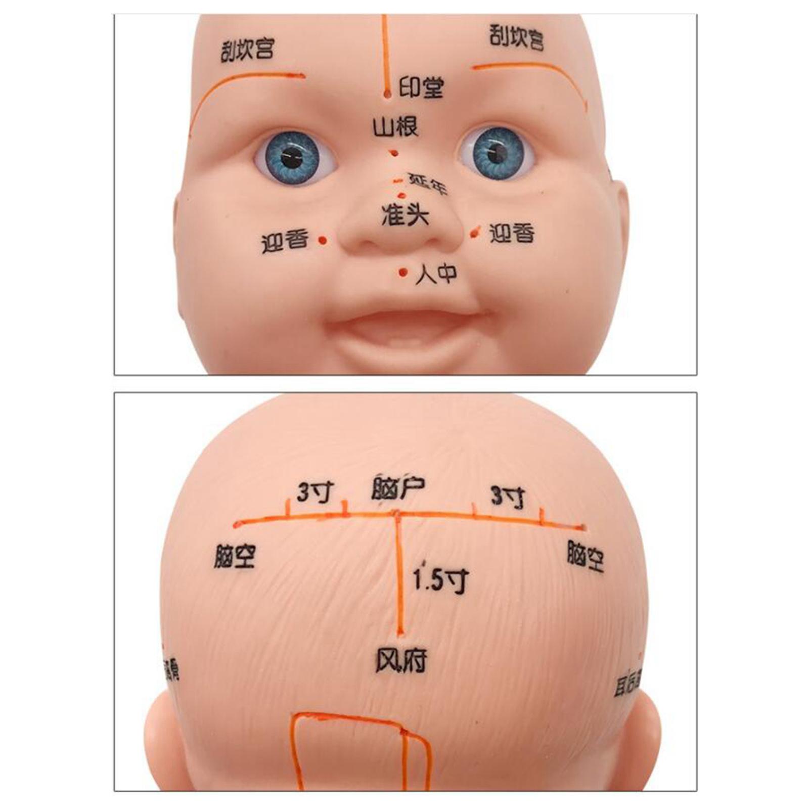 Human Acupuncture Massage Infant Human Body Model Teaching Education Tool