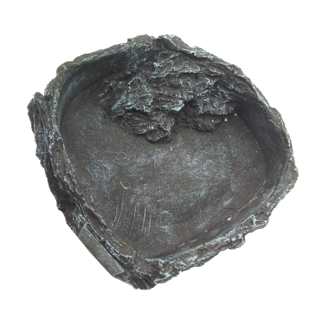 Reptile Food Dish Water Bowl Reptile Supplies for Tortoise Spider Gecko