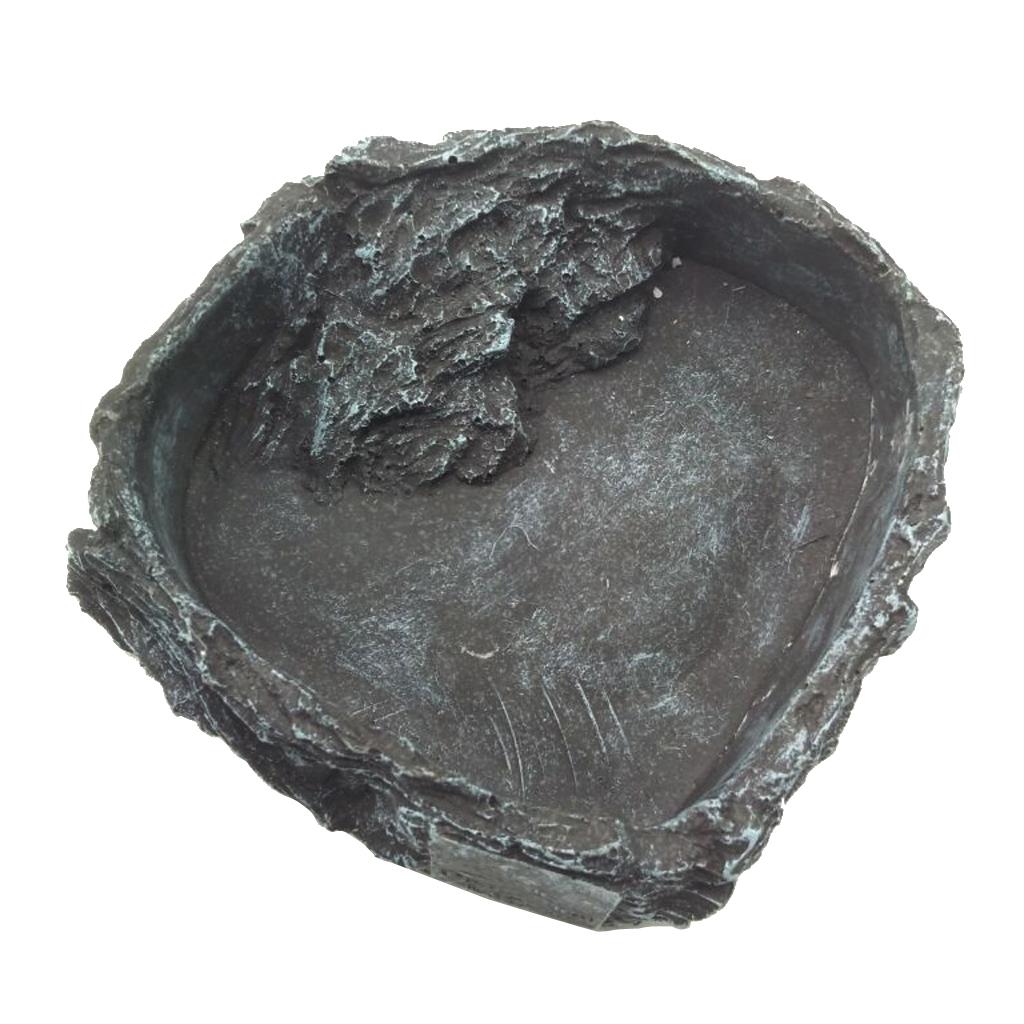 Reptile Food Dish Water Bowl Reptile Supplies for Tortoise Spider Gecko