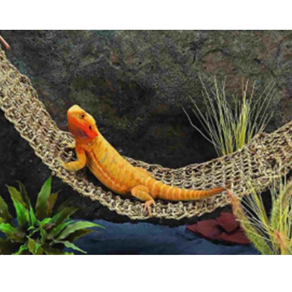 Bearded Dragon Seagrass Hammock Reptile Lounger Snake Lizard Basking