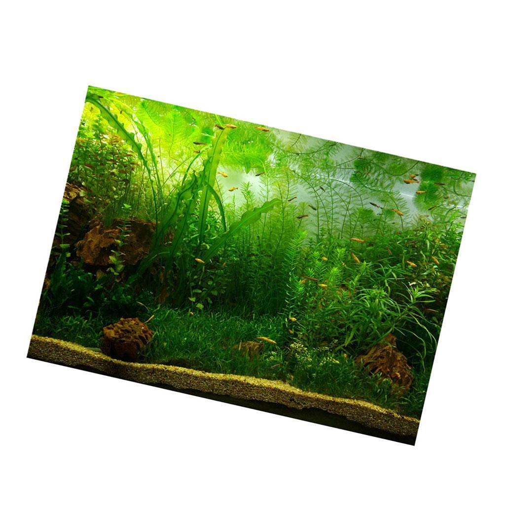 Aquarium Fantasy Background Poster Coral Desert Backdrop Fish Tank ...