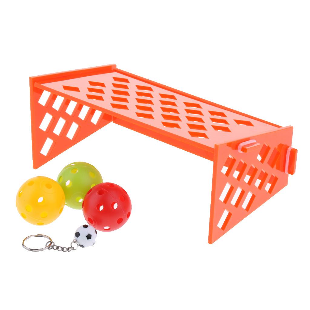 Ball Bird Parrot Cockatiel Puzzle Training Development Football Field Toy