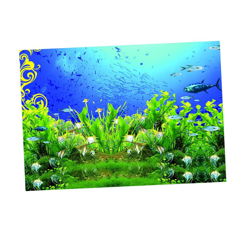 aquarium wall decor
