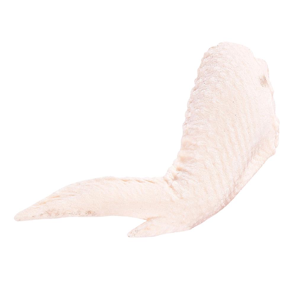 Dog Squeaky Chew Toy Simulation Chicken Wing for Aggressive Chewers White