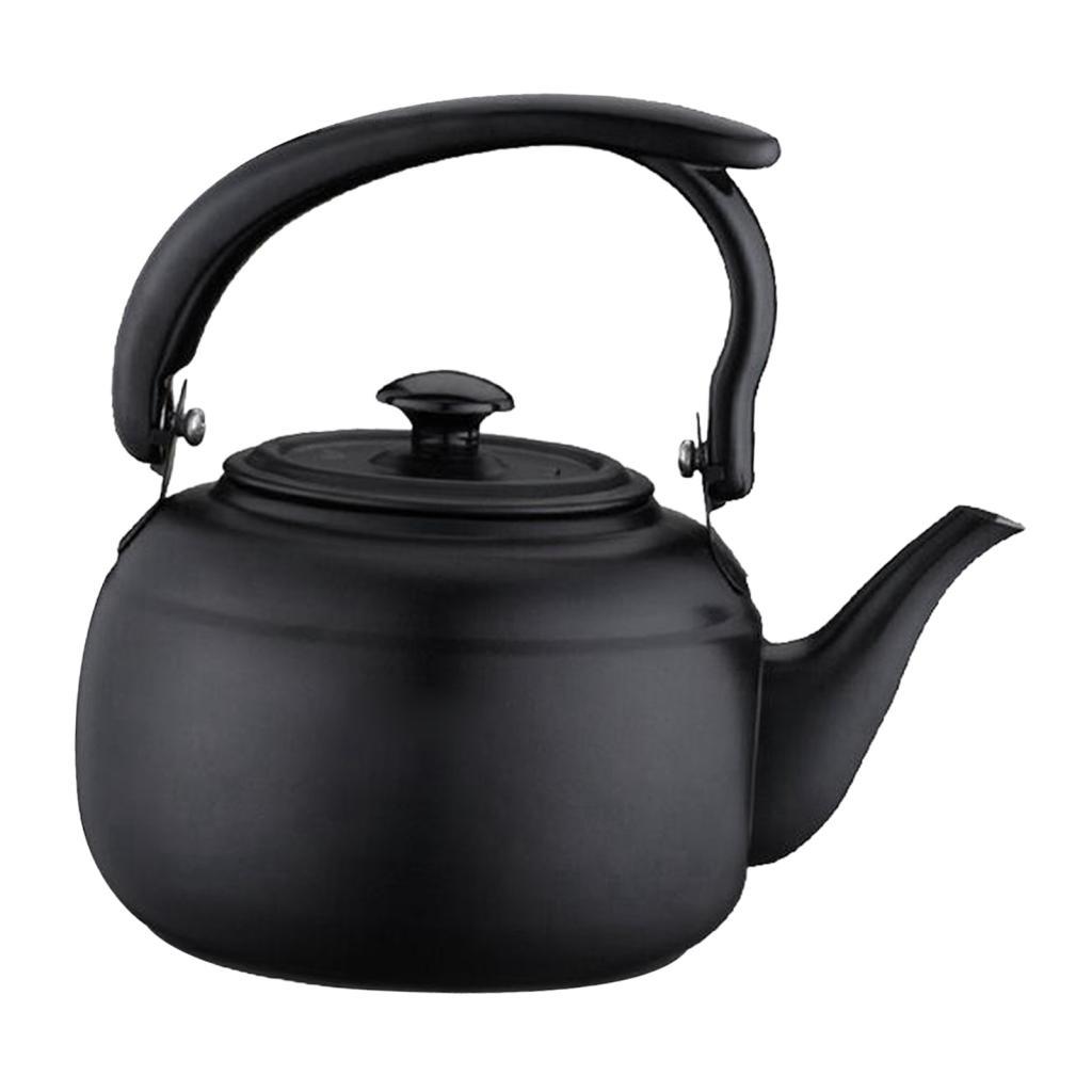 Stainless Steel Teapot 1L
