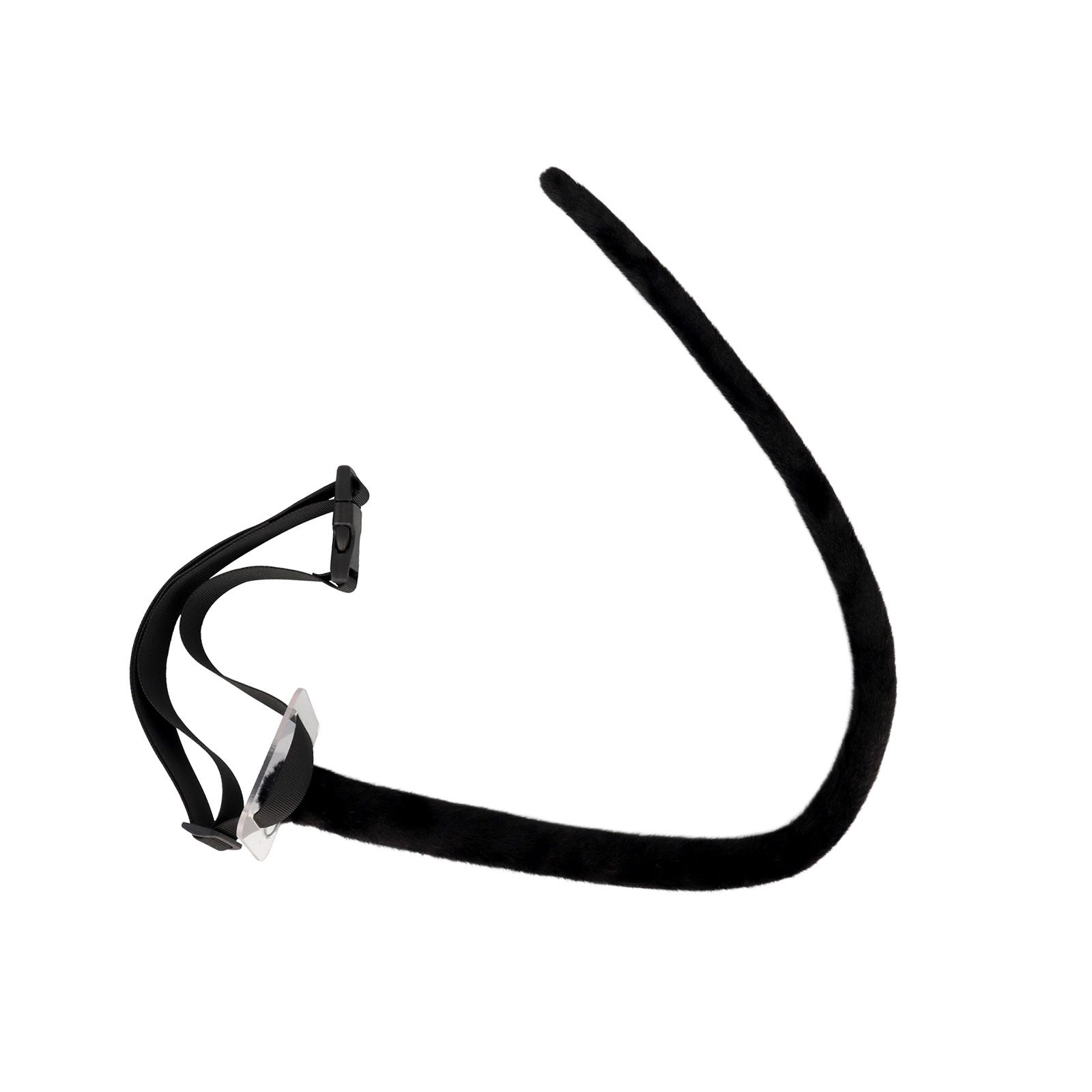 Animal Tail Mouse Tail