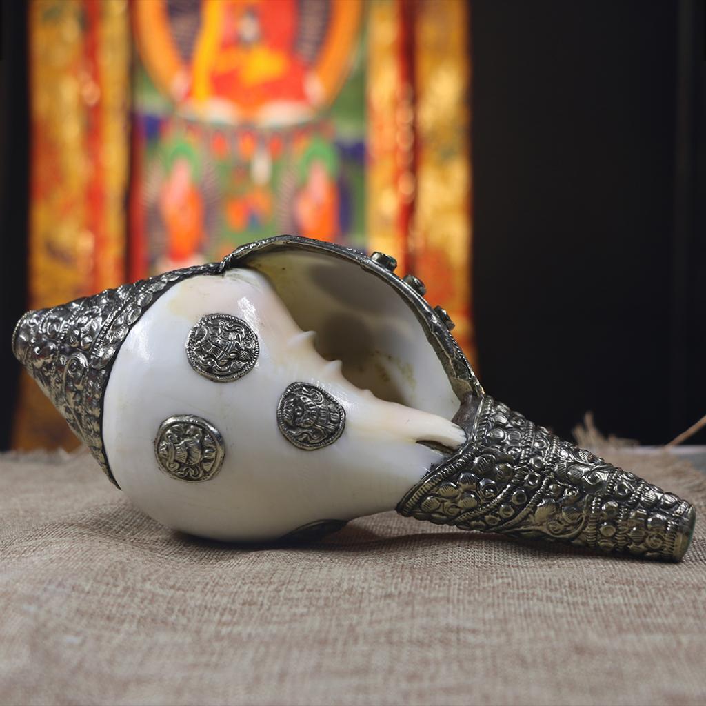 Conch Shell Horn Very LOUD! Caribbean Triton Sea Shell Horn Large 10