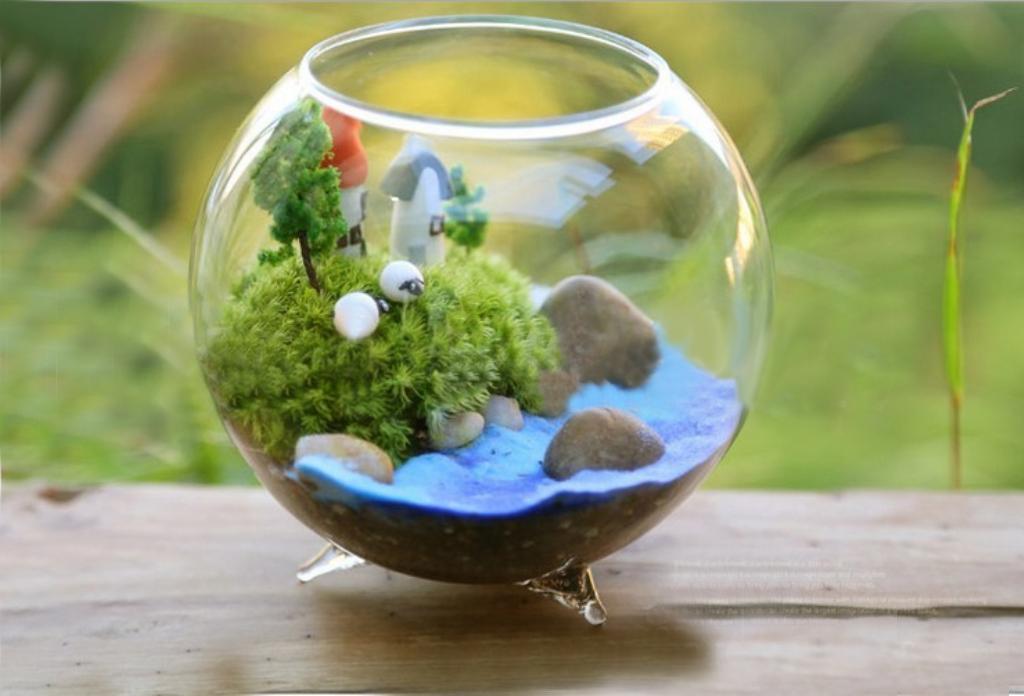 7xGlass Hydroponic Pot Flowers Vase Fairy Garden DIY Terrarium 