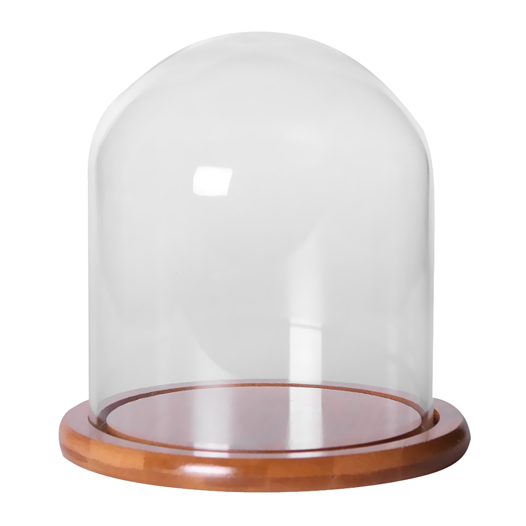 Decorative Glass Dome with Wooden Base Cloche Bell Jar Display DIY 26 Styles eBay