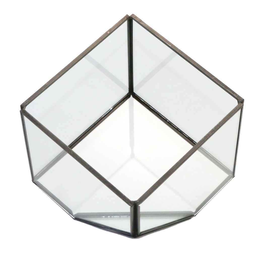 Creative Glass Geometric Terrarium Box Tabletop Succulent Plant Planter #2