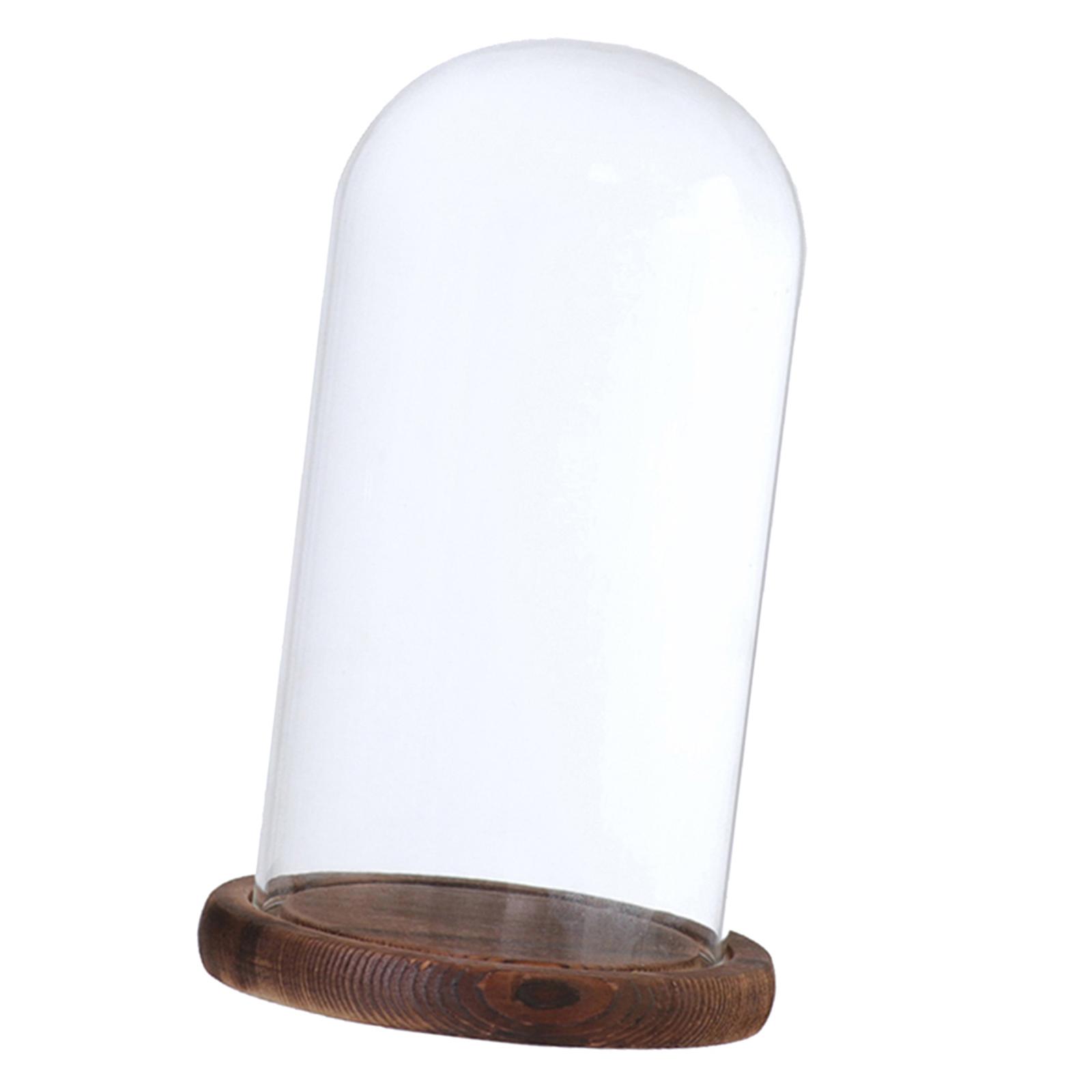 Glass Dome Cloche With Wooden Base
