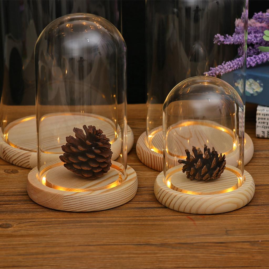 Clear Glass Display Dome with LED Wood Base Microlandscape Holder | eBay