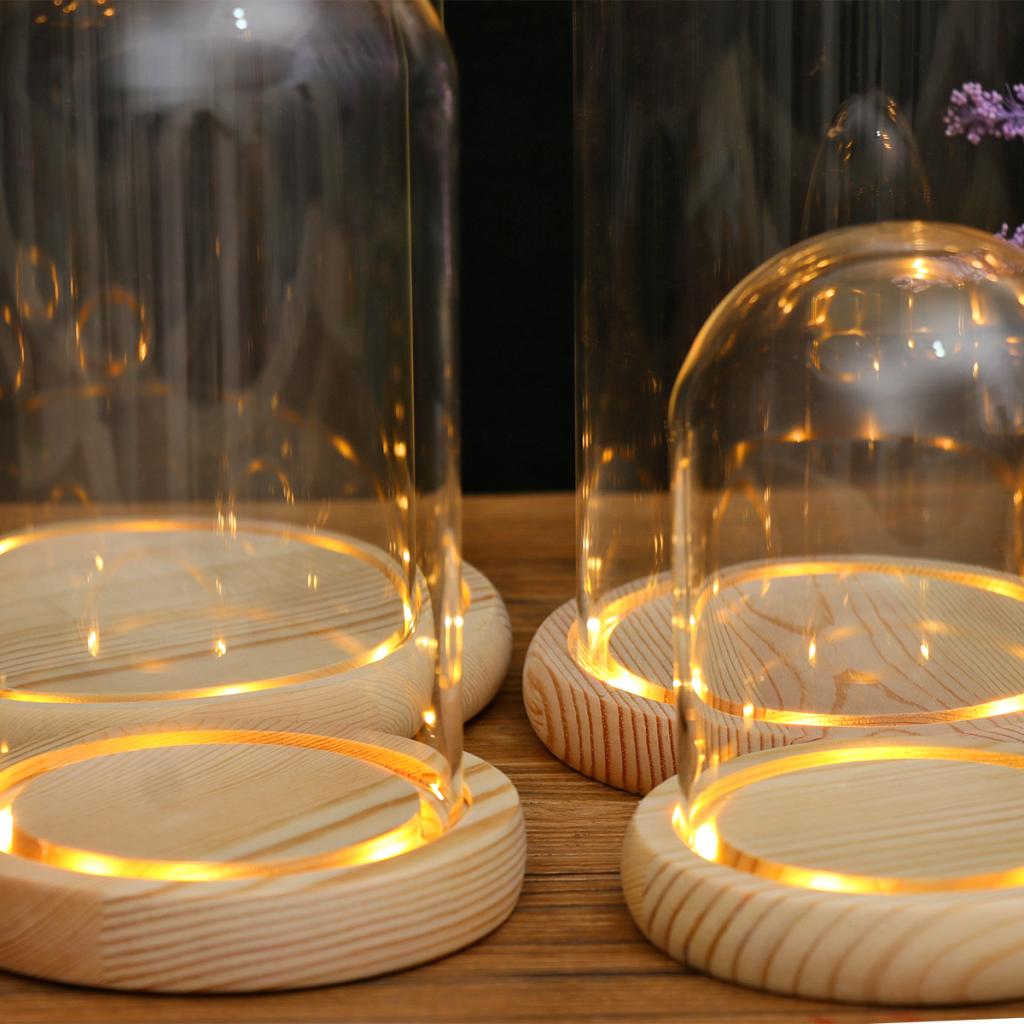 Clear Glass Display Dome with LED Wood Base Microlandscape Holder B 10x12cm