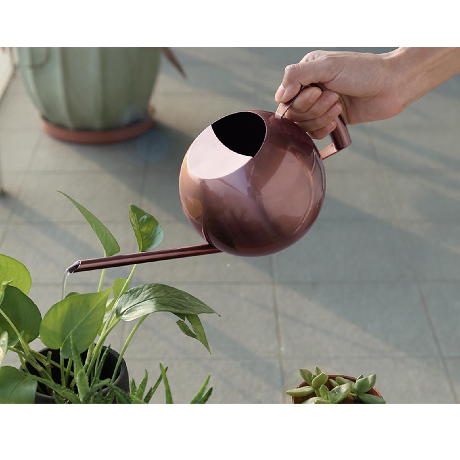 1000ml Watering Can Pot Long Spout House Bonsai Plants Flowers Copper