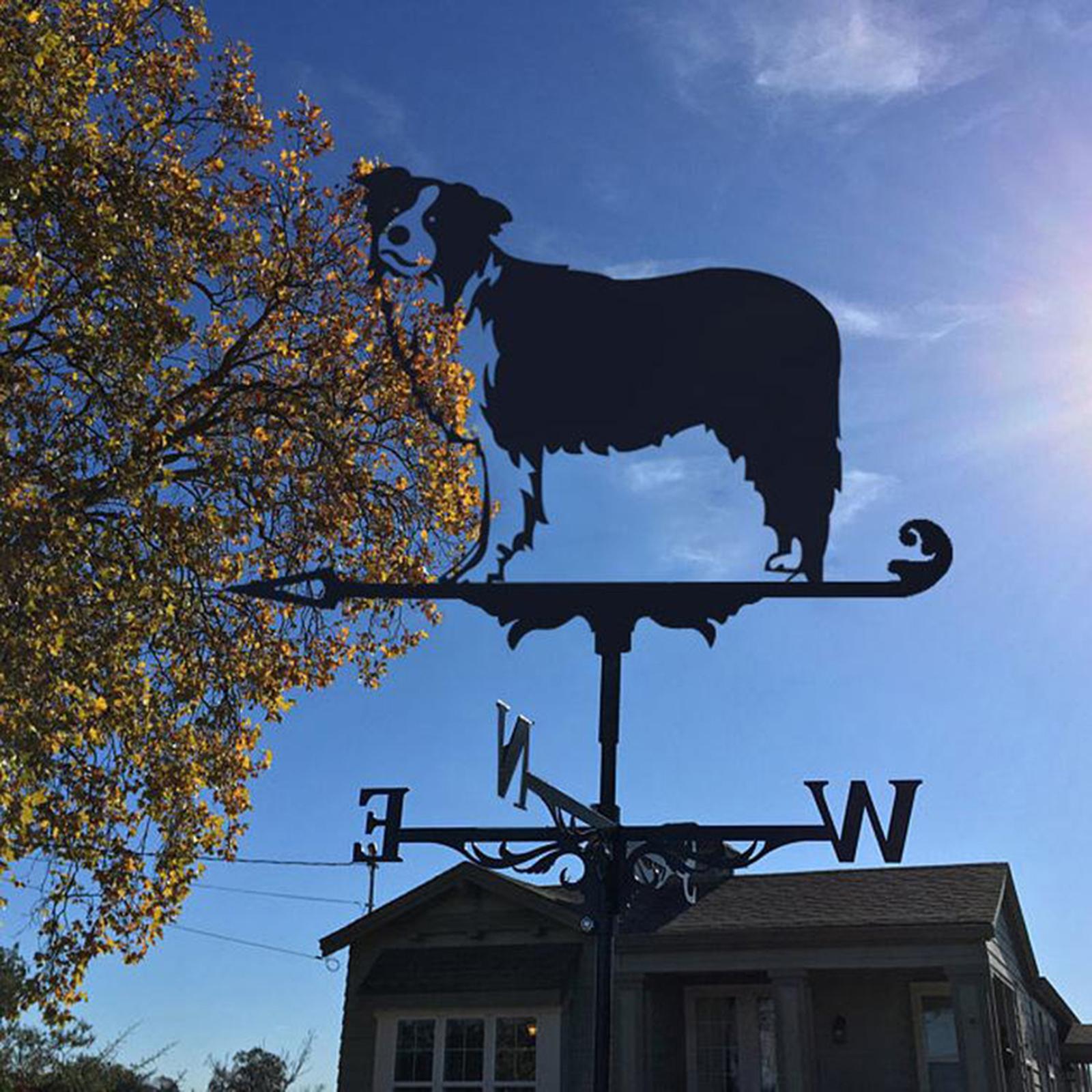 Handcrafted 3D Decorative Weathervane Stainless Steel Indicator Collies