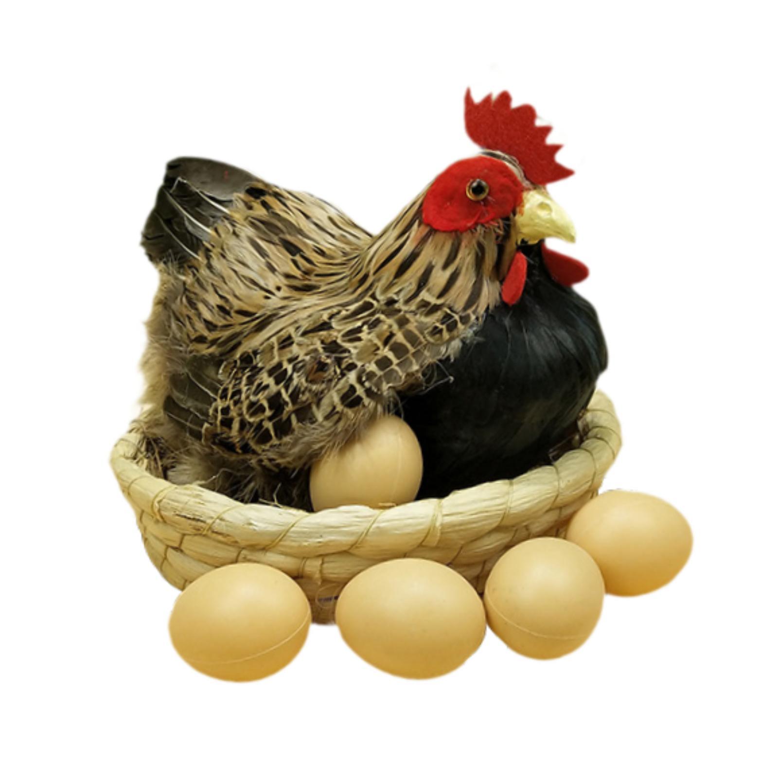 Artificial Hen Model