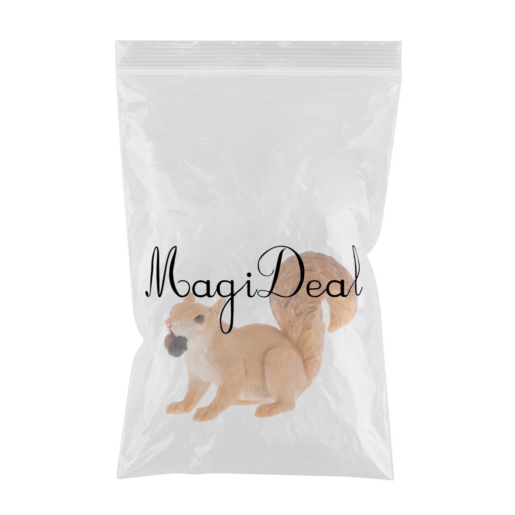 Simulation Animal Model Kids Educational Toys squirrel PL127-1438