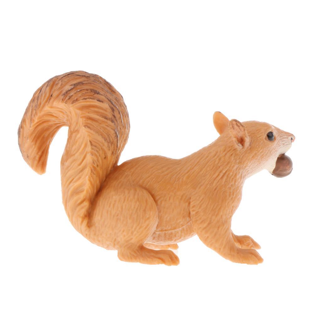 2xSimulation Animal Model Kids Educational Toys squirrel PL127-1438