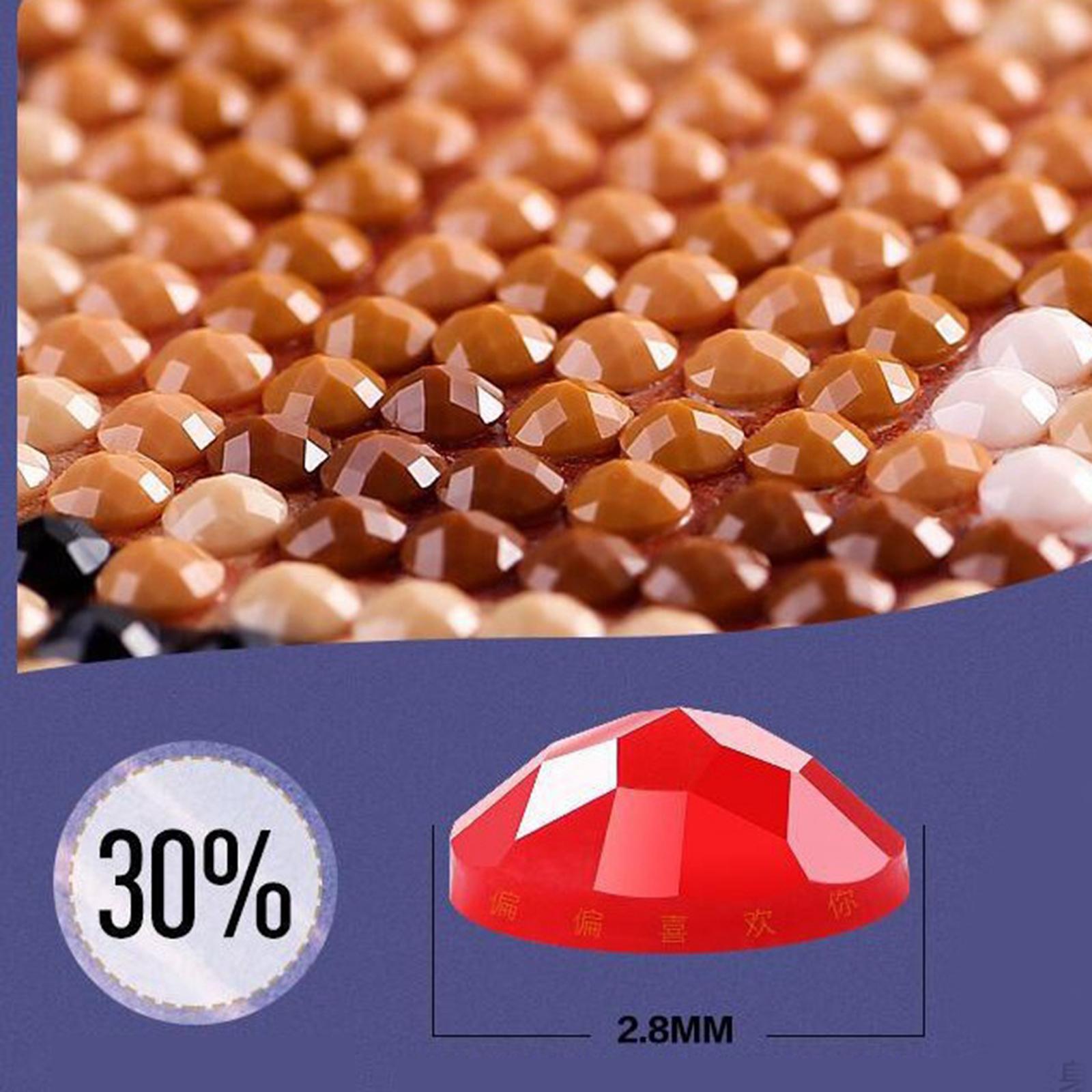 Diamond Painting Kit Crystal Embroidery Crafts Art for Adults Kids 50x60cm