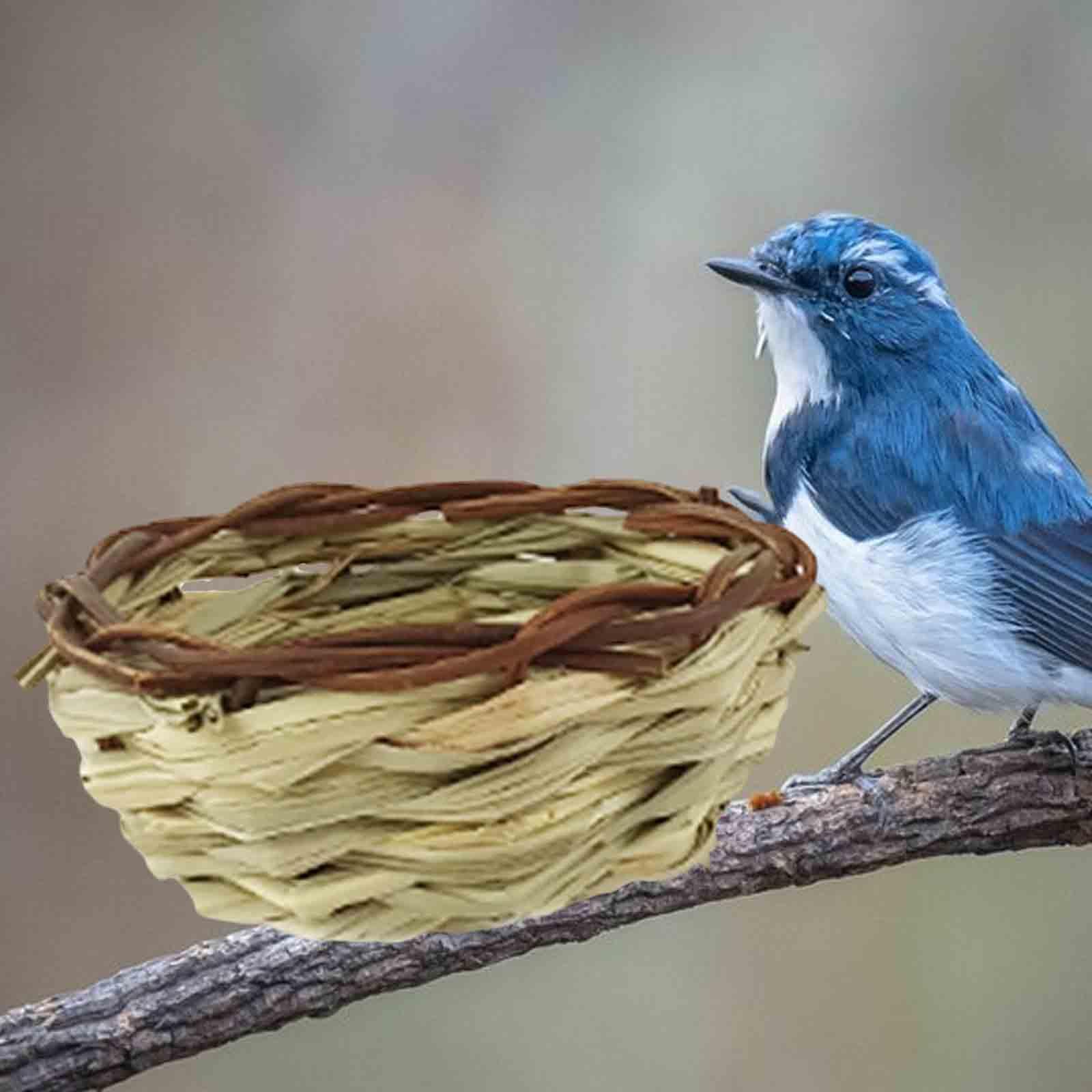 Round Bird Nest Spring Birdhouse Swallow Nest for Wren Hummingbird Chickadee