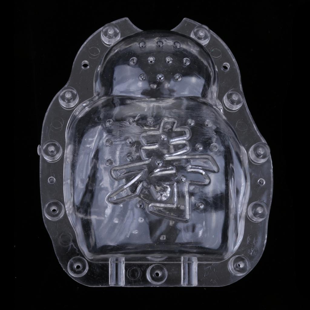 Fruits Shaping Mold Garden Fruit Vege Growth Forming Mold #8