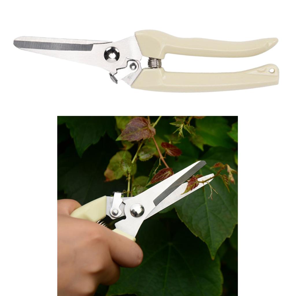 Garden Pruning Shears Pruners Secateurs Plant Cutter Scissor Hand Tools