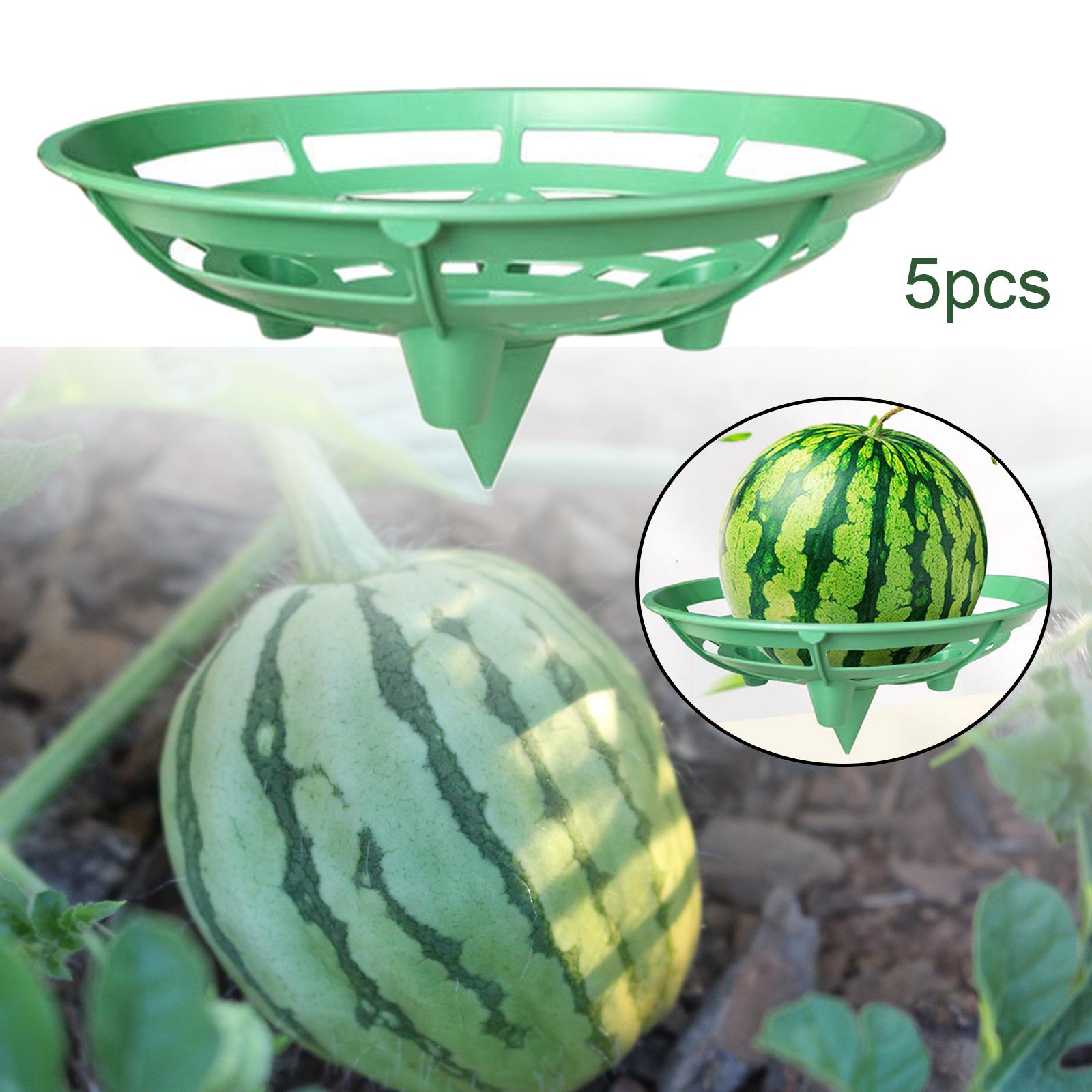 5Pcs Watermelon Stand Prevents Rotting Planter Cantaloupes Watermelon Cradle 23x20x11.5cm B