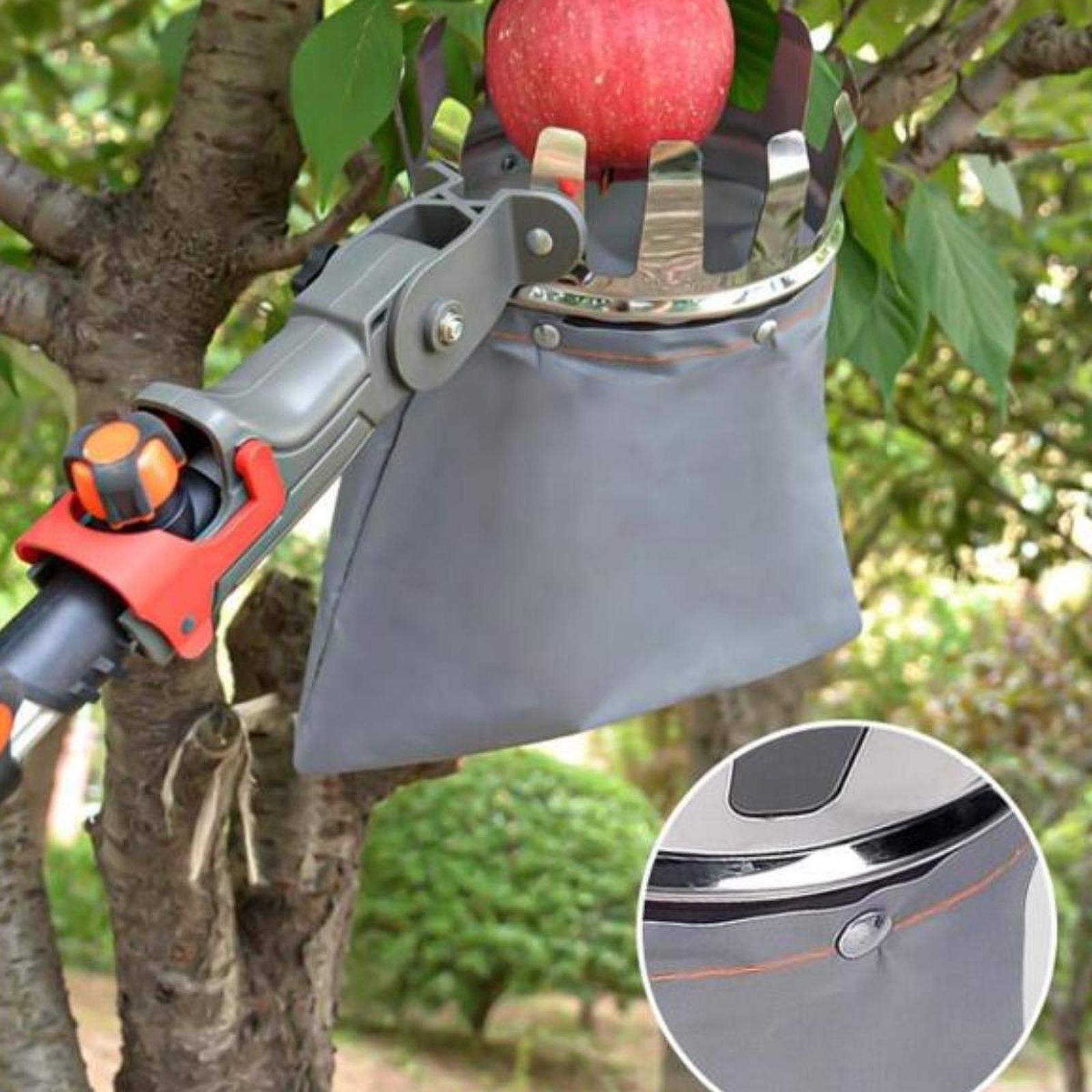 Fruit Picker Pole with Basket Telescoping, Gardening Tool for Plums Apricots
