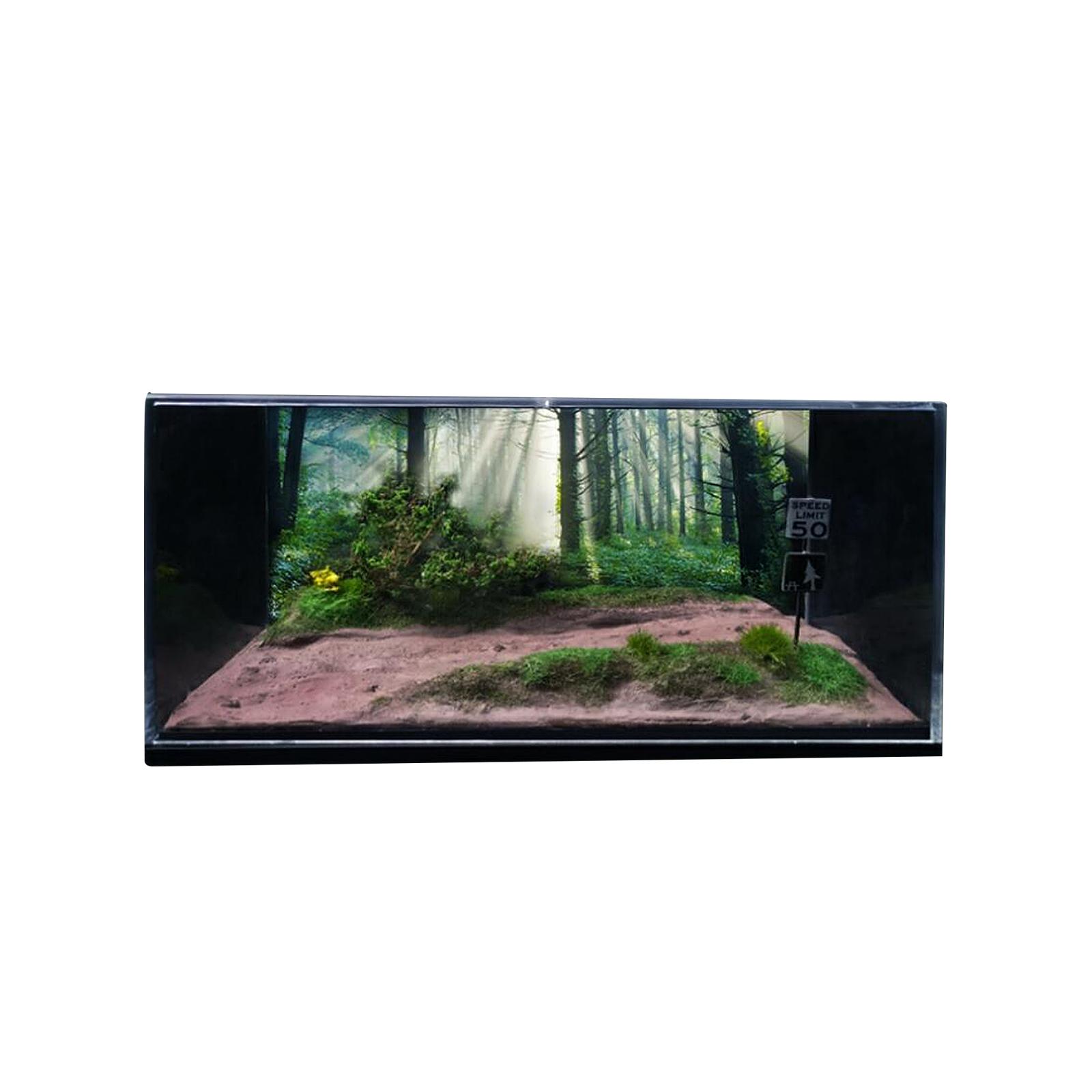 Car Scene Model