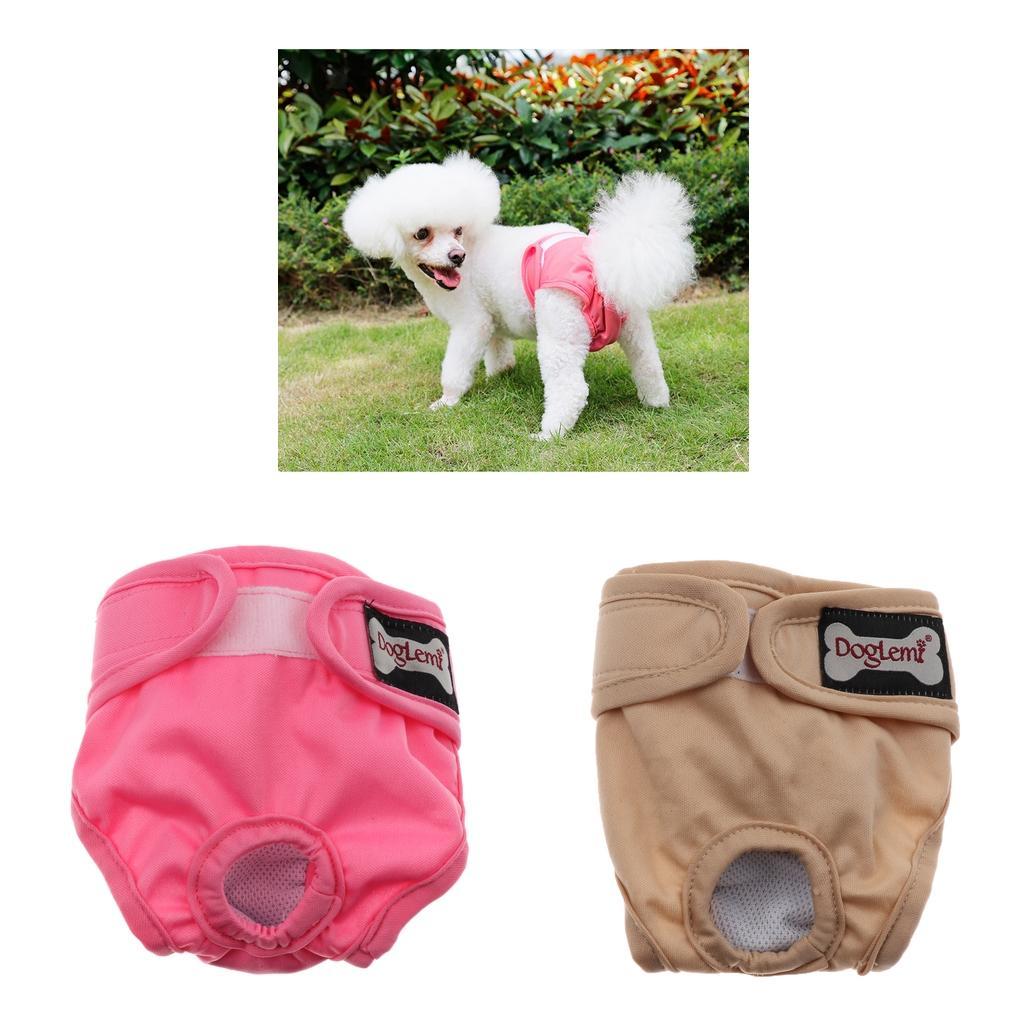 Waschbare Windeln für Hunde (1 Pack) Windeln für Hündchen sowohl für eBay