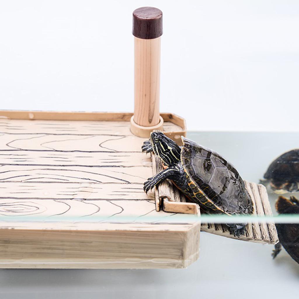 Floating Turtle Piers Ramp Shelf / Pet Tortoise Basking Platform | eBay