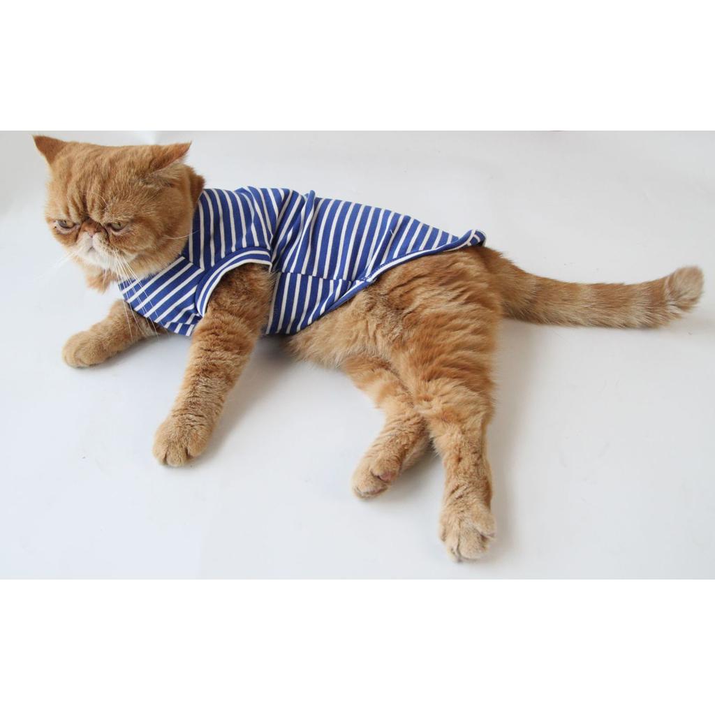 Vetement Chien Chat Pyjama A Rayures Chiot Costume Chaud Habits Pour Ebay