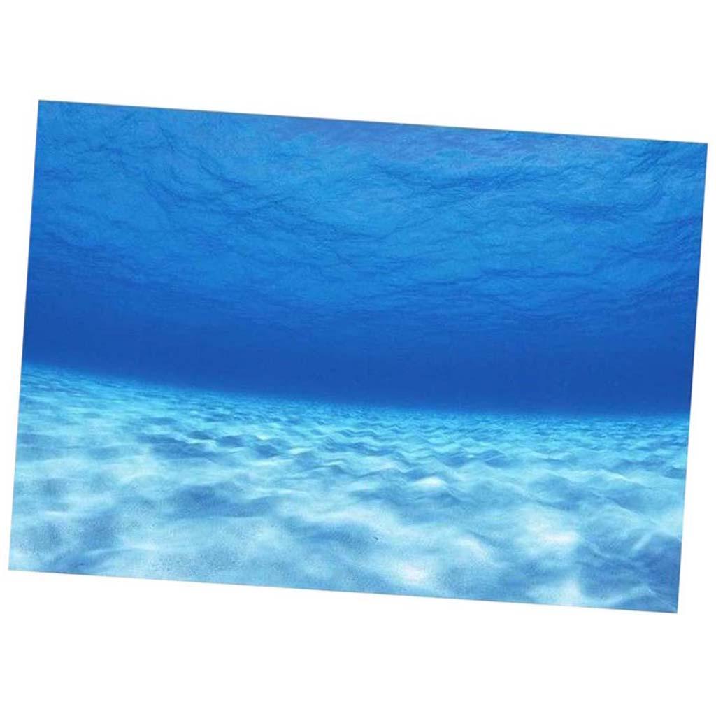 Selbstklebendes Plakat Meerwasser Bild Pvcs 3d Fur Aquarium Hintergrund Ebay