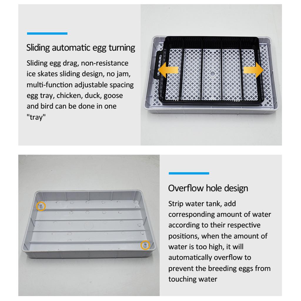 Digital Egg Incubator Hatcher Temperature Control Automatic Turning 15 Eggs
