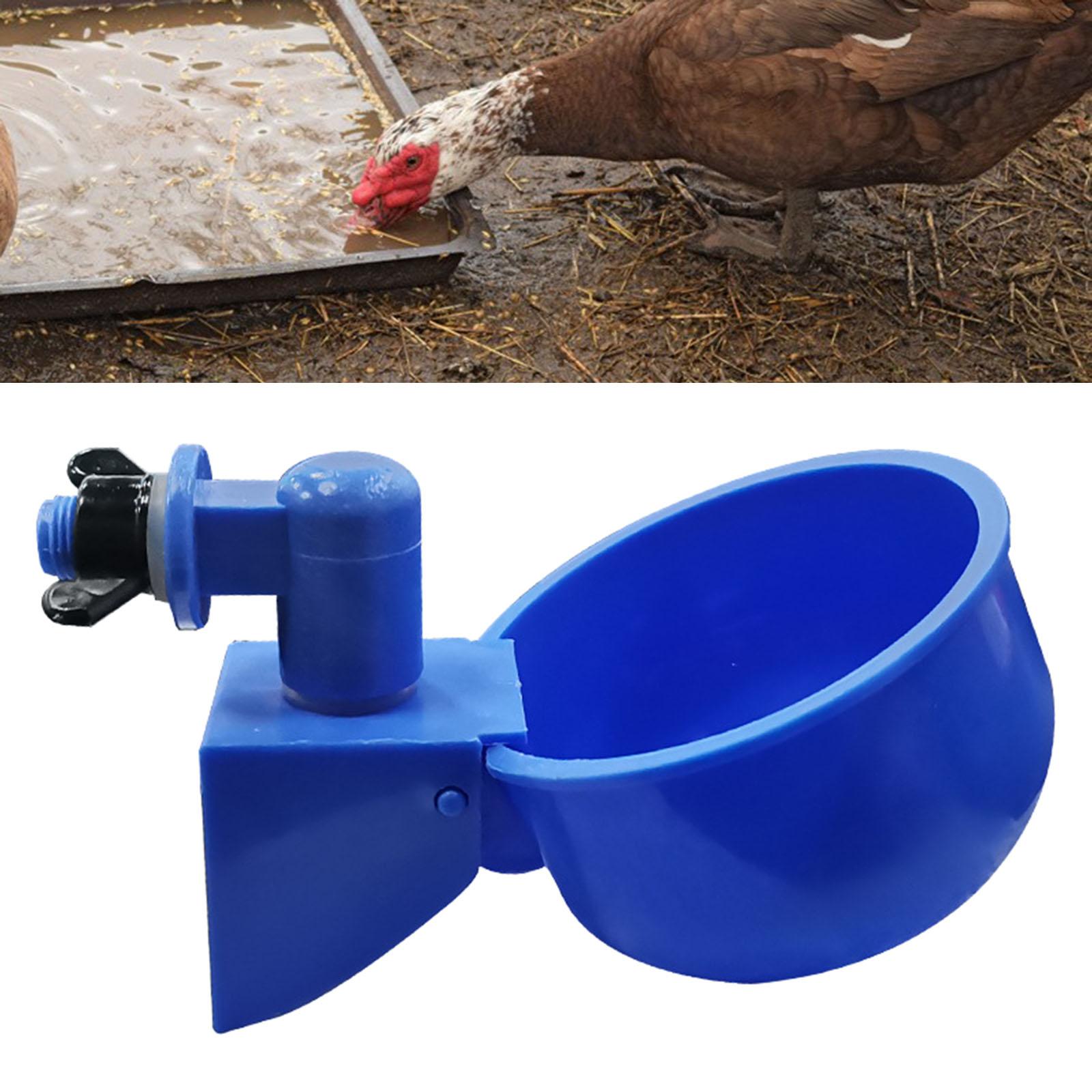 Automatic Chicken Drinkers Waterers Cup for Birds Poultry Supplies Cage
