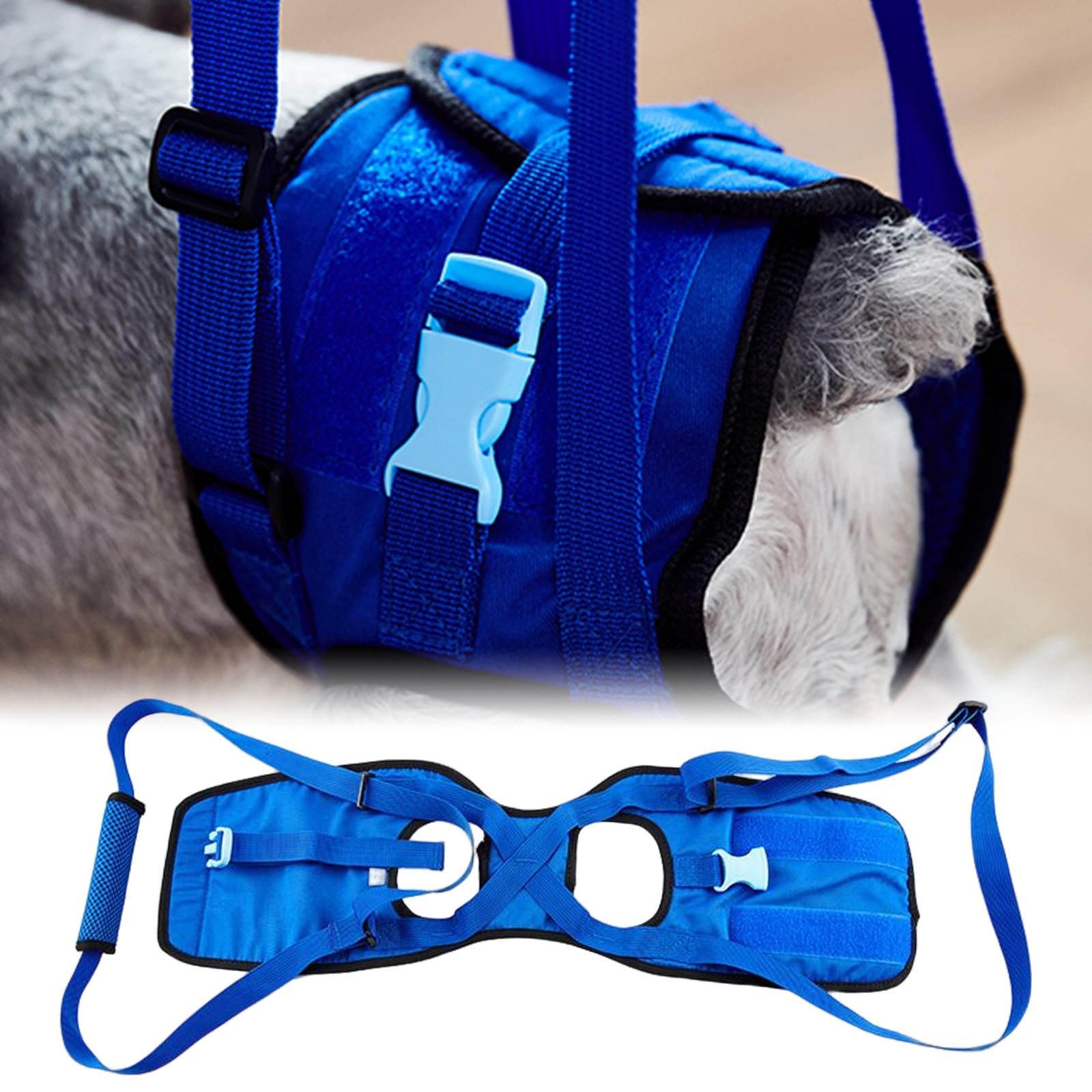 2Pcs Dog Support Harness assist  Blue Medium edium Blue Large