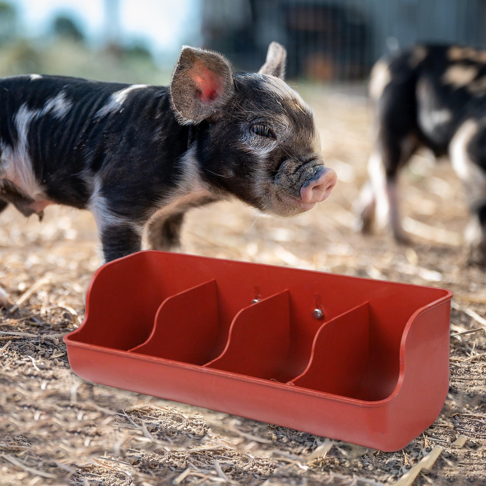 Pig Food Feeder Dog Waterer Water Drinker Tray Growers Piglet Fodder Slot