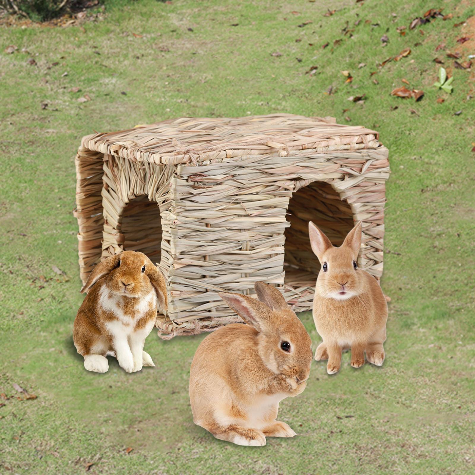 Foldable Bed Hut with Openings Playhouse for Chinchilla Bunny Little Animals