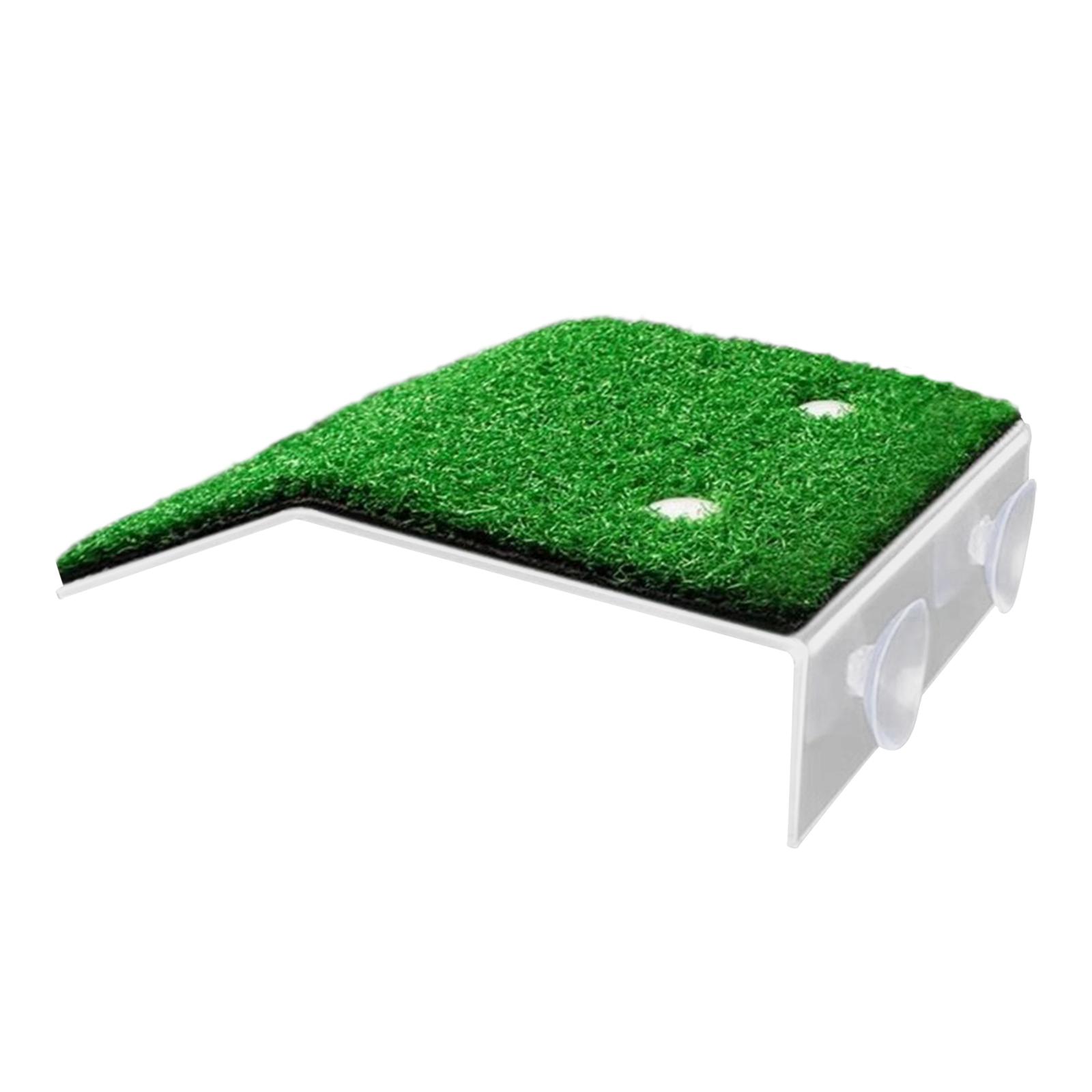 Turtle Basking Platform