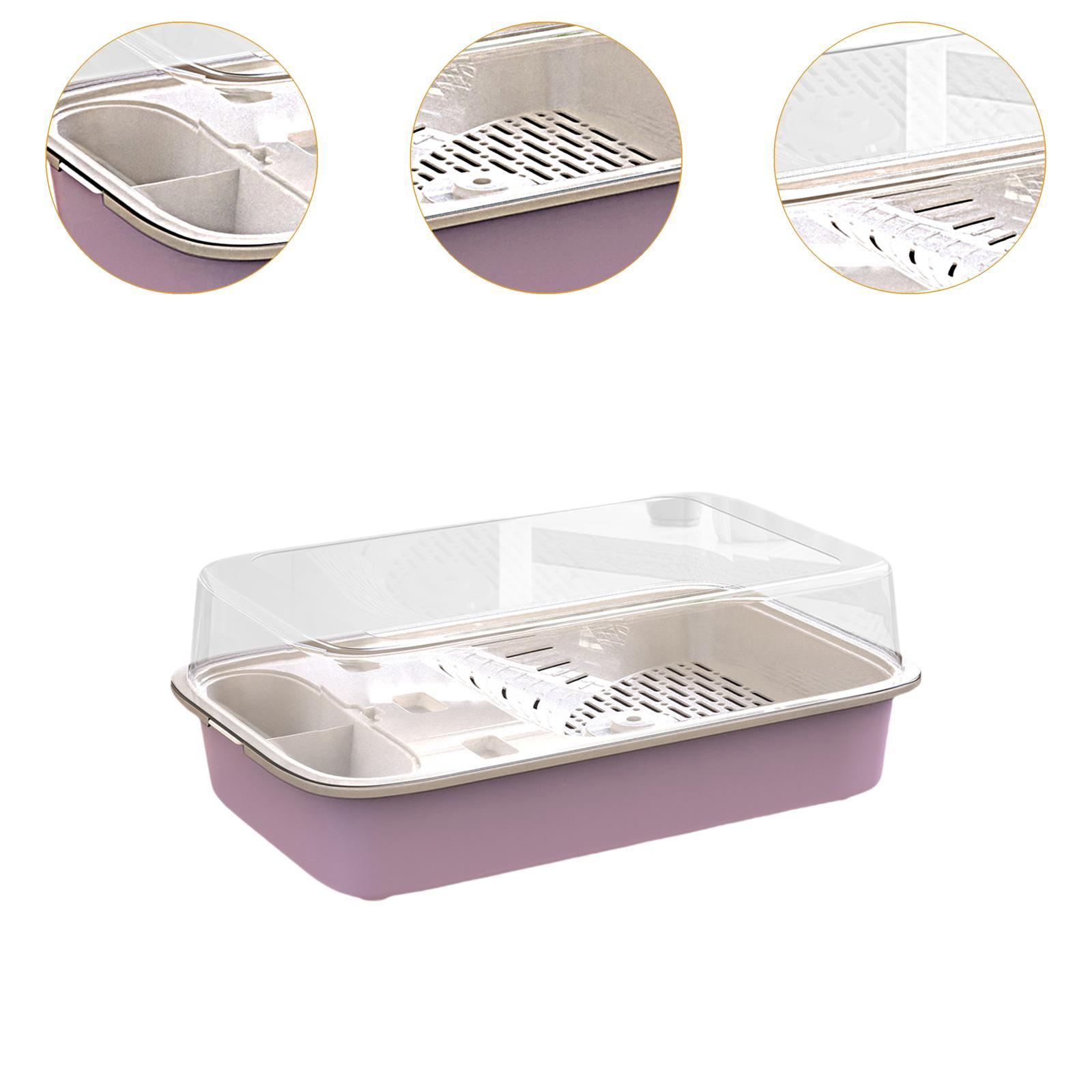 Turtle Tank Aquarium Hatching Feeding Box Resting Tortoise Enclosure Starter Violet