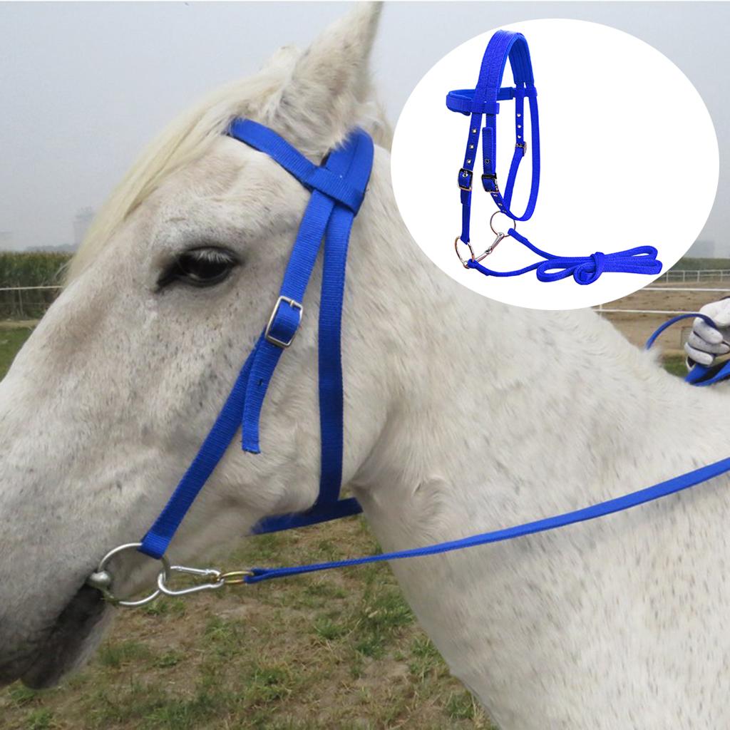 Horse Bridle Rein Harness Headstalls Removable Snaffle Nylon Webbing Blue S