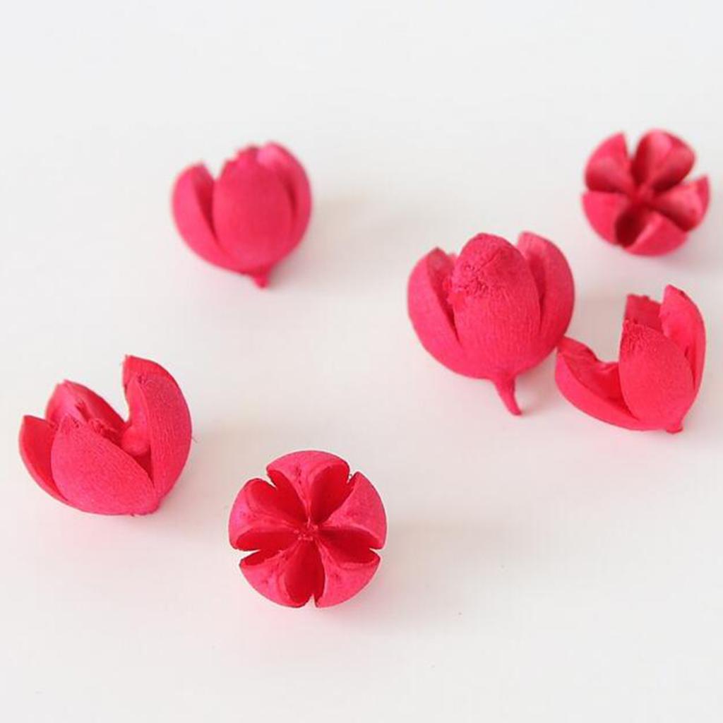 Natural Pinecones Pistachio Pine Cones Ornaments Gift Pistachio - Red