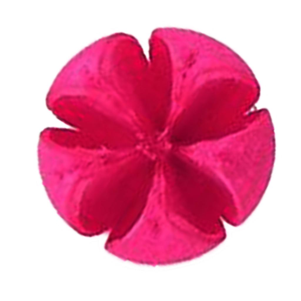 Natural Pinecones Pistachio Pine Cones Ornaments Gift Pistachio - Rose