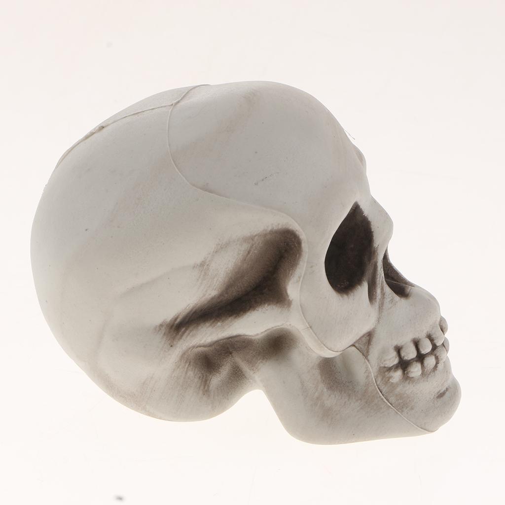 Statua realistica a forma di testa di teschio con scheletro umano VOANZO bar decorazione da tavolo per Halloween modello di osso