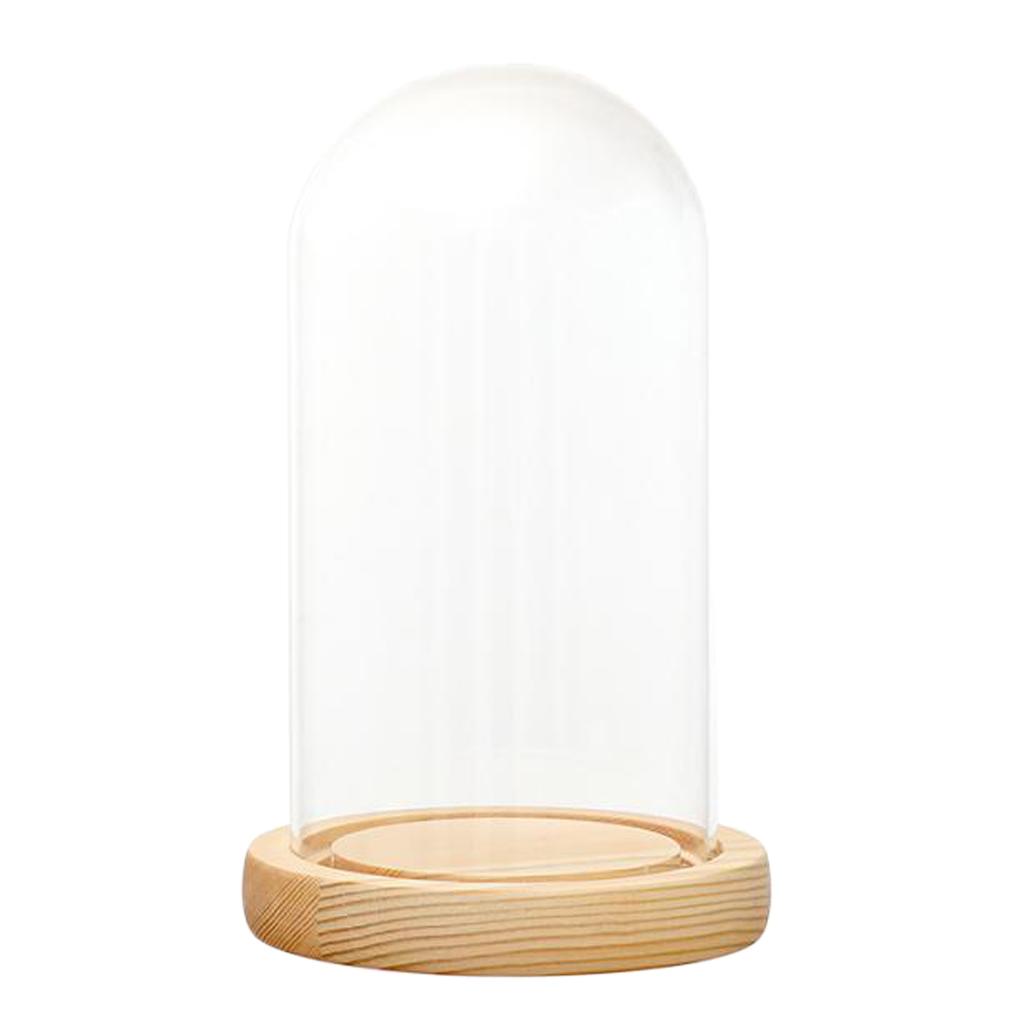 Clear Glass Display Dome with LED Wood Base Microlandscape Holder F 12x20cm